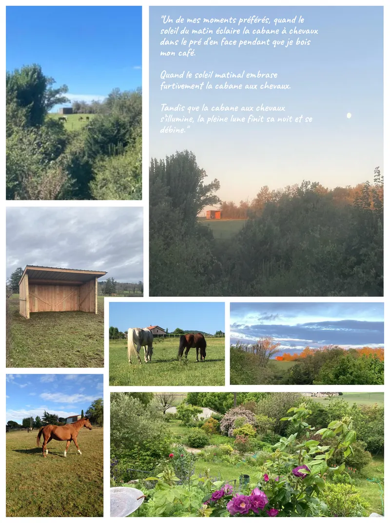 Photos fournies par le client