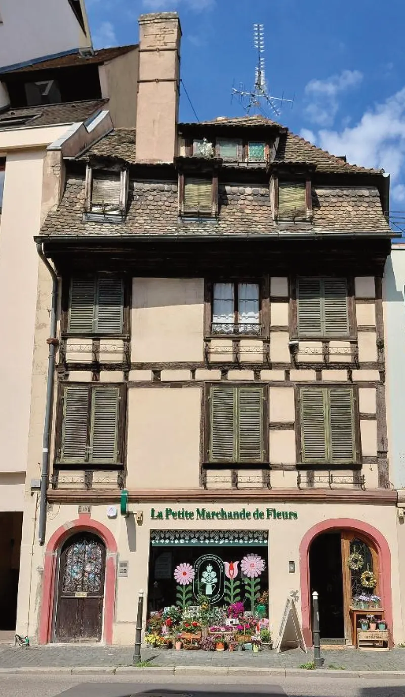 Illustration pour La Petite Marchande de Fleurs, à Strasbourg