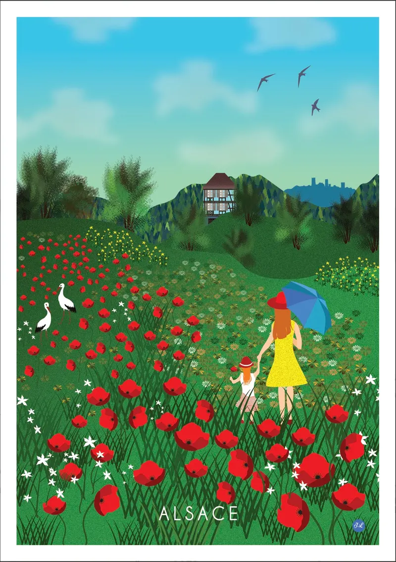 Coquelicots