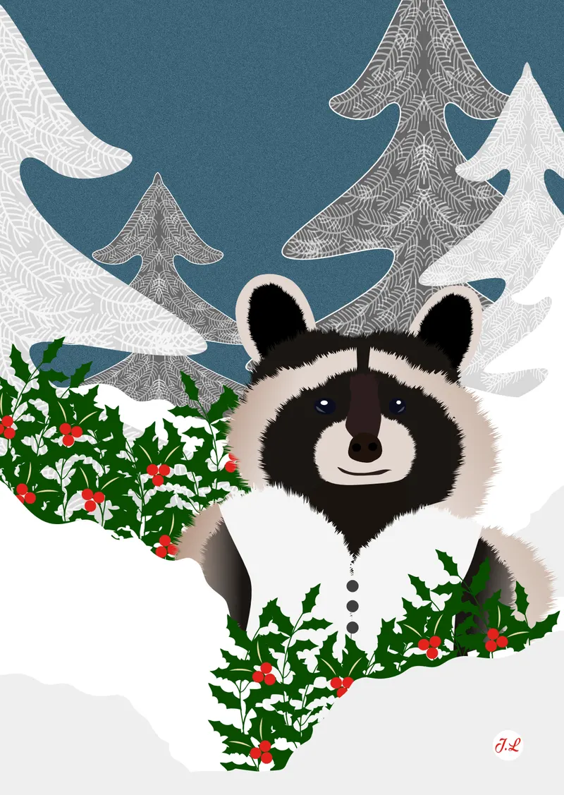 Racoon